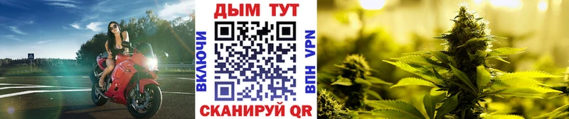 Все наркотики Элиста Alpha PVP  Мефедрон  Кокаин  KRAKEN вход  Канабис  ГАШИШ 