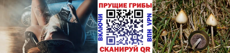 Галлюциногенные грибы мухоморы  OMG   Элиста 